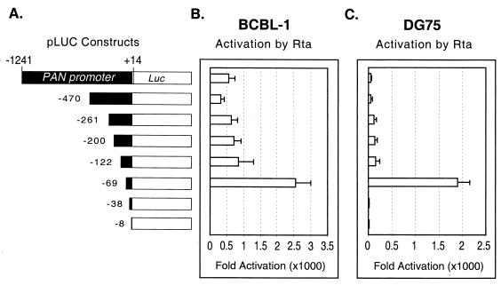 FIG. 7