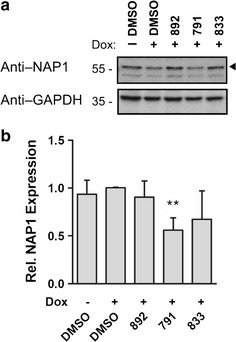 Fig. 11