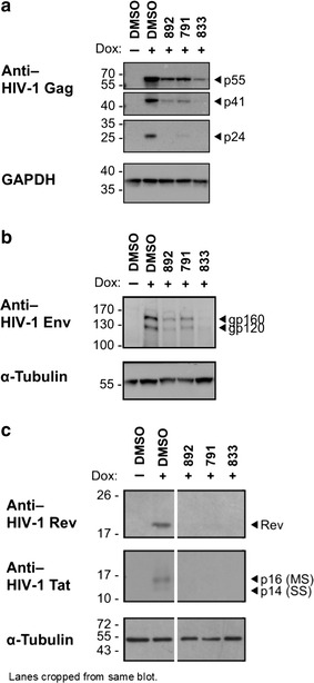 Fig. 4