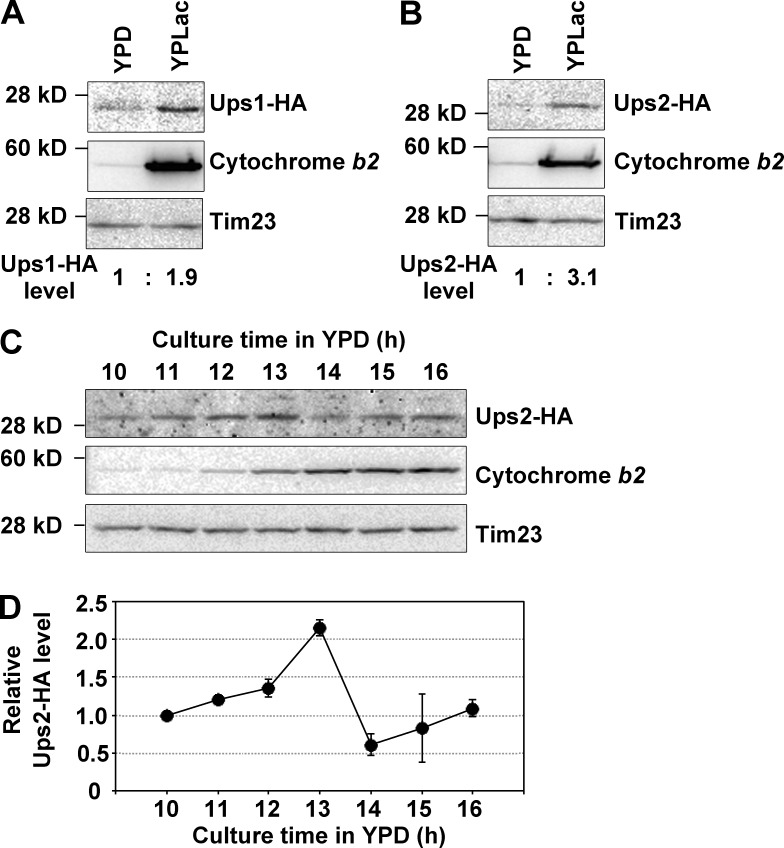 Figure 10.