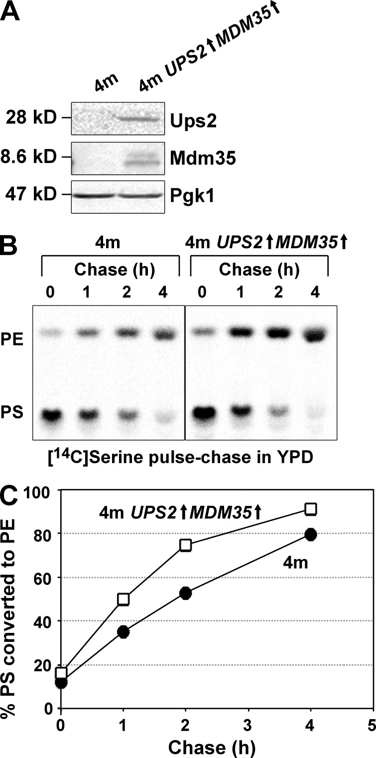 Figure 7.