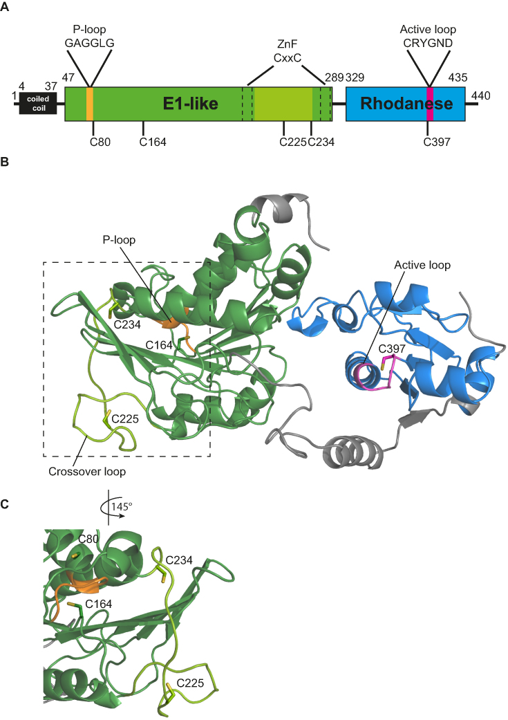 Figure 2.