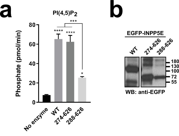 Figure 3—figure supplement 1.