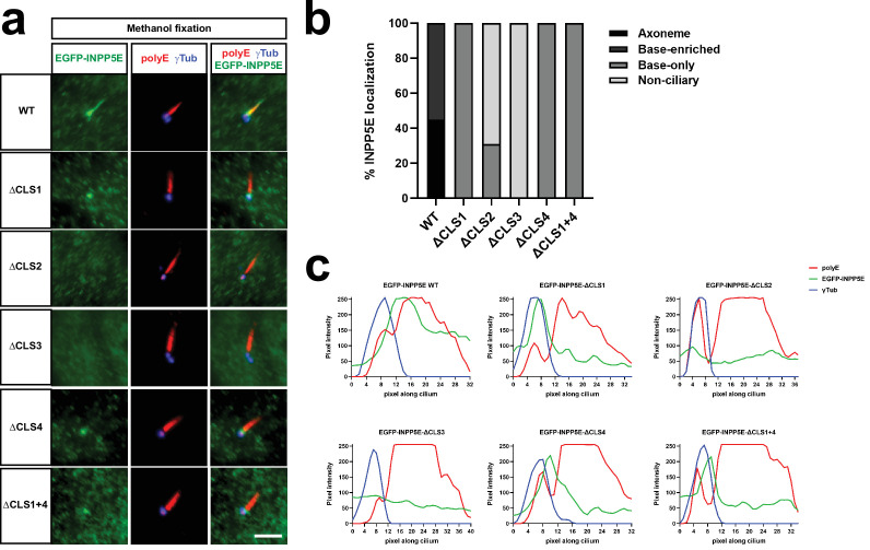 Figure 4—figure supplement 3.