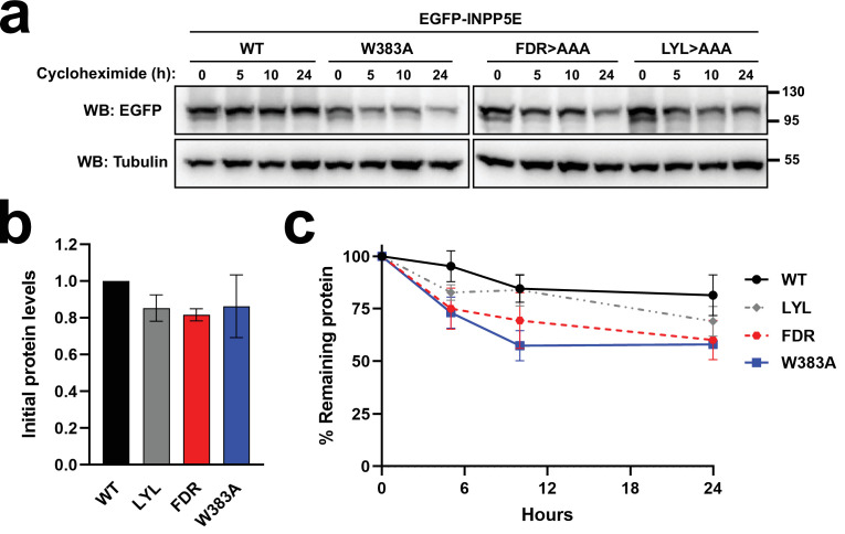 Figure 2—figure supplement 3.