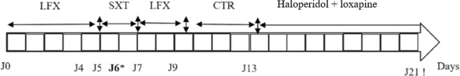 Fig. 1