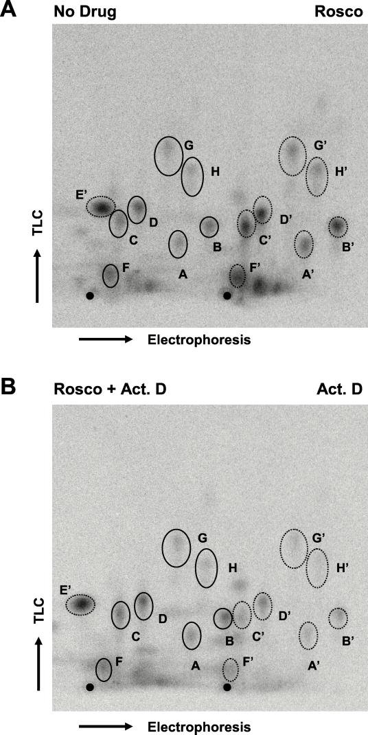 FIG. 7.