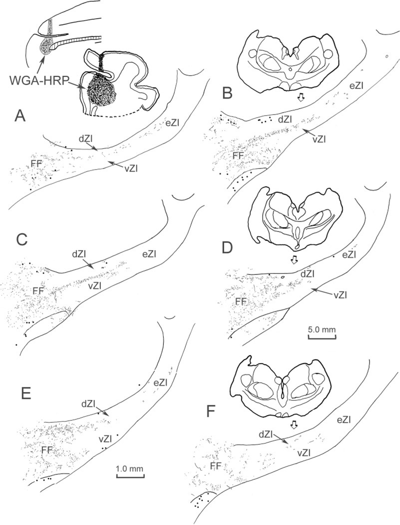 Fig. 7