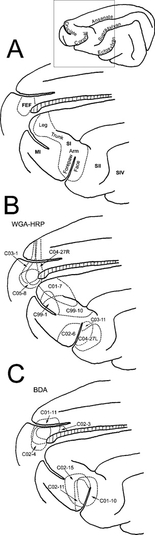 Fig. 1