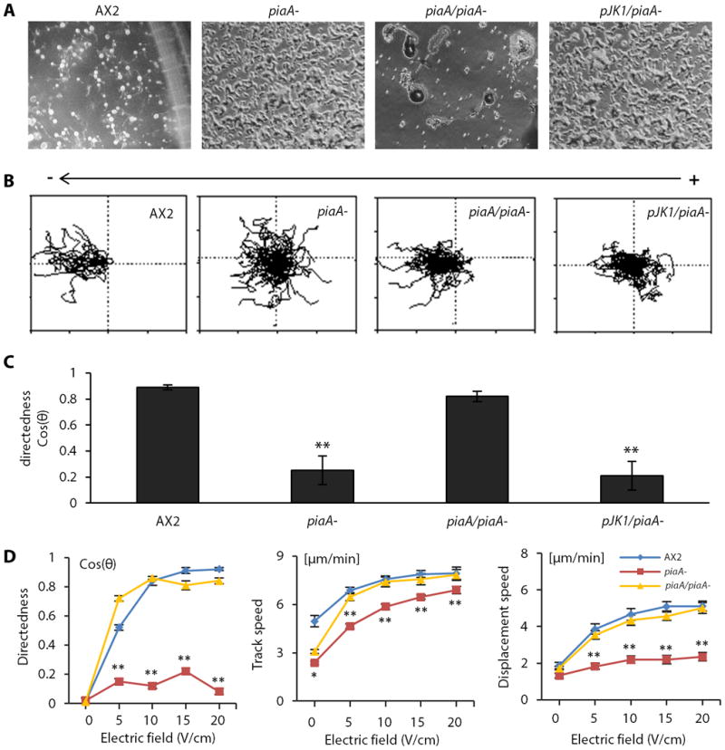 Fig.3