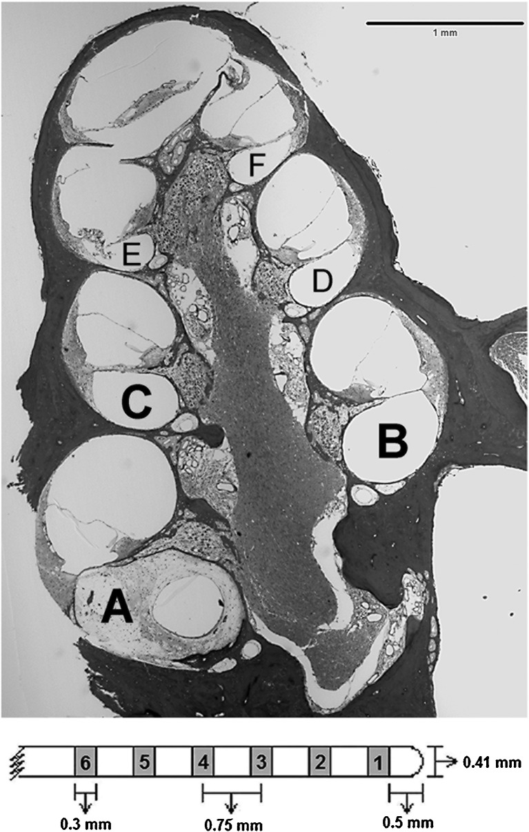 FIG. 1