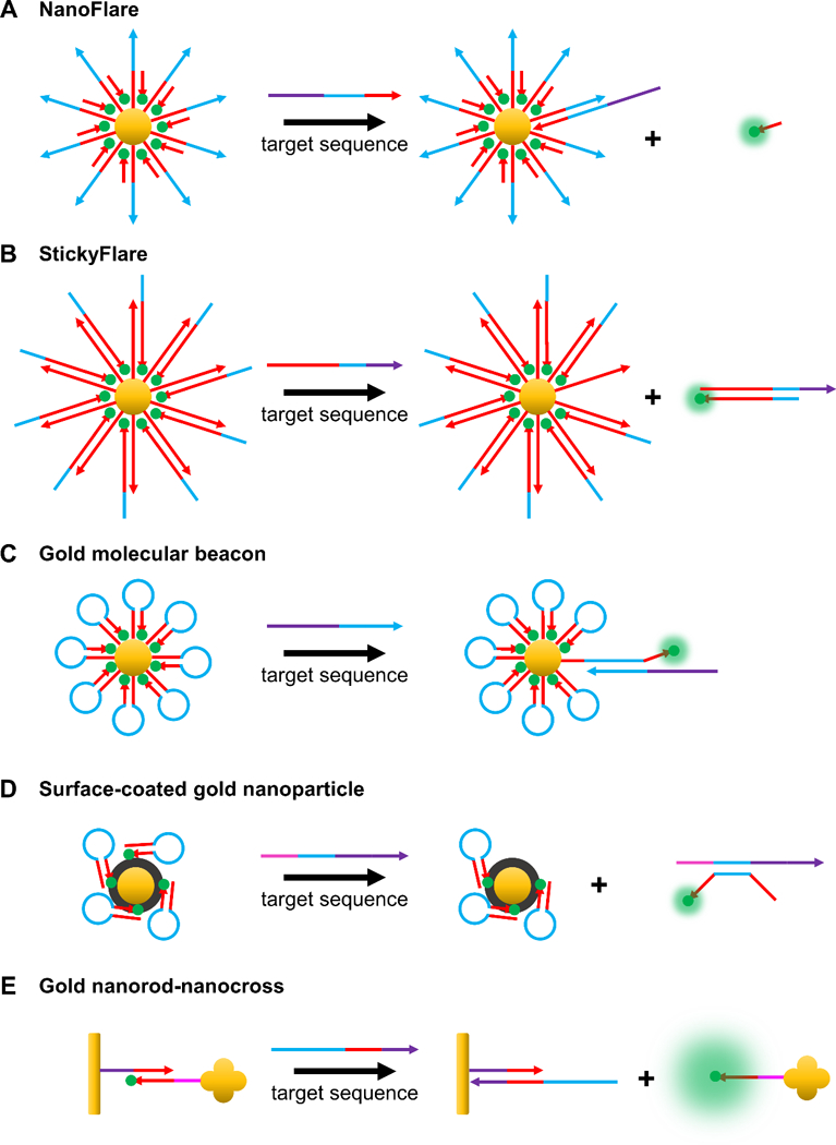 Figure 7.