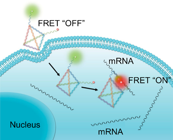 Figure 9.