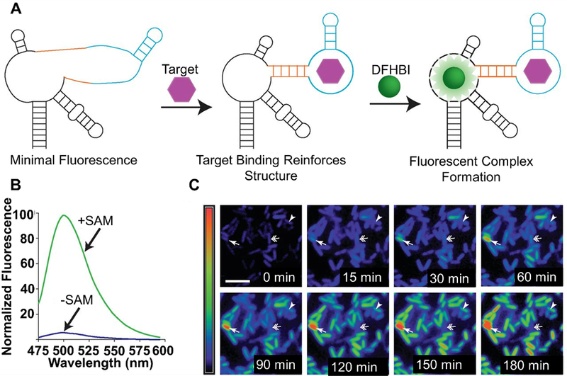 Figure 12.