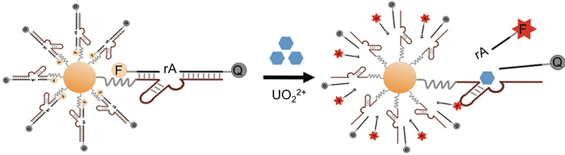 Figure 14.