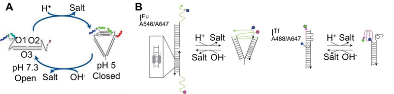 Figure 10.