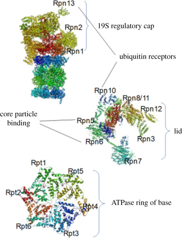 Figure 2. 