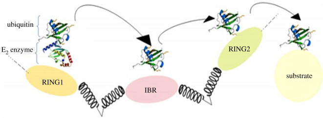 Figure 6. 