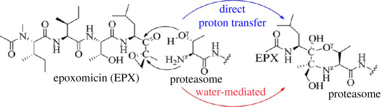 Figure 9. 