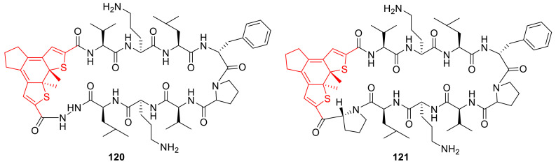 Figure 21