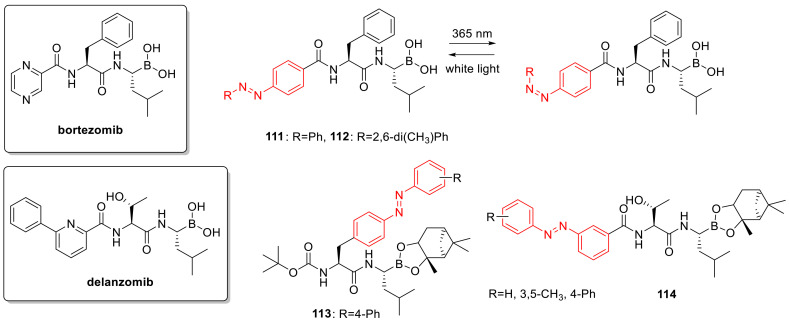 Figure 19