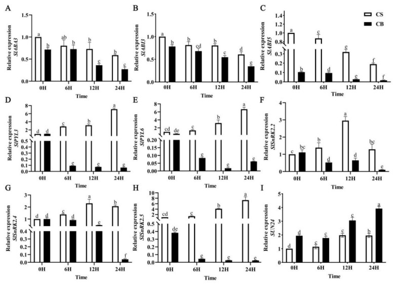 Figure 6