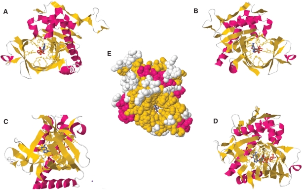 Figure 1.