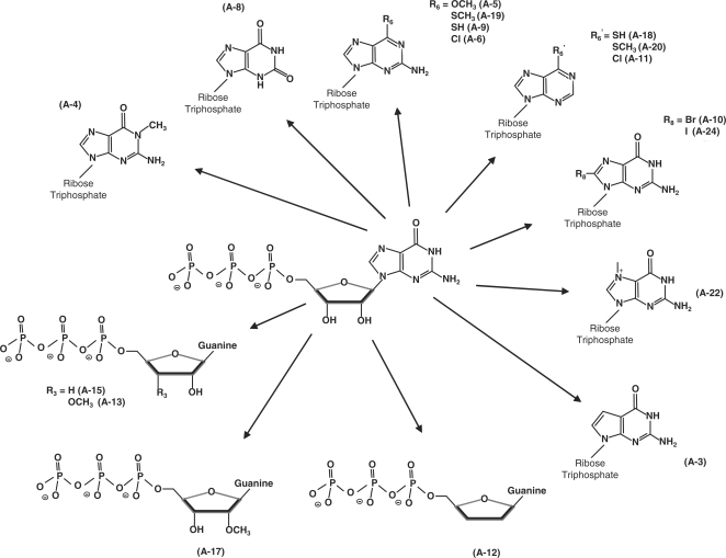 Figure 3.