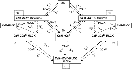 FIGURE 4