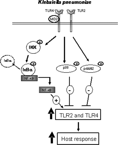 FIG. 8.