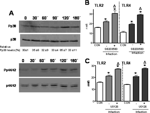 FIG. 4.