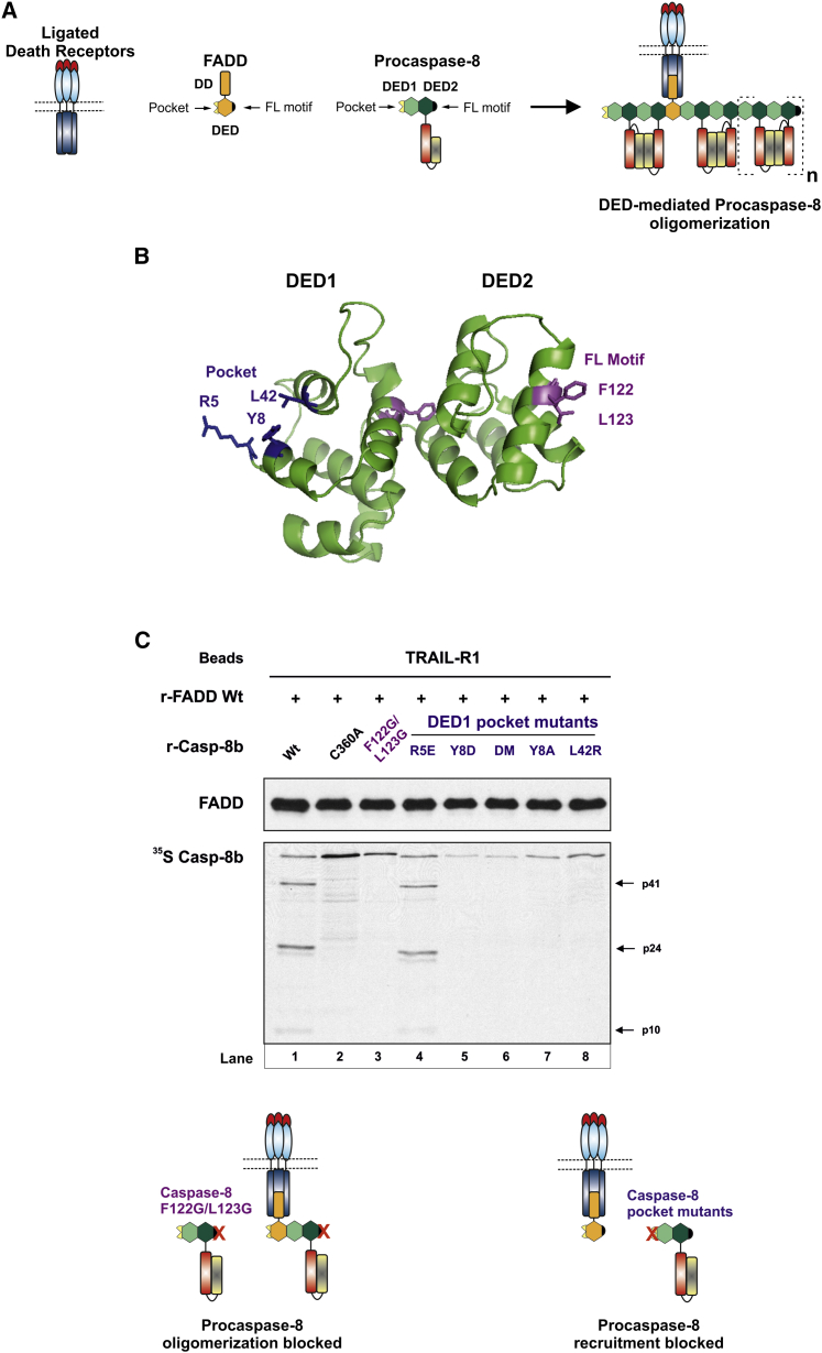 Figure 4