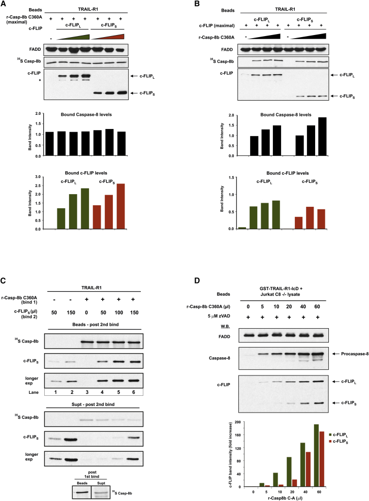 Figure 3