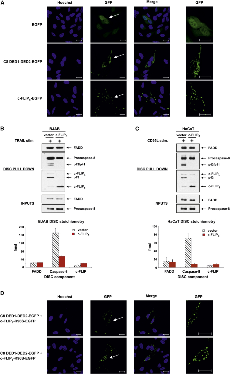 Figure 6