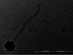 FIG 1