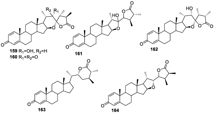 Figure 22
