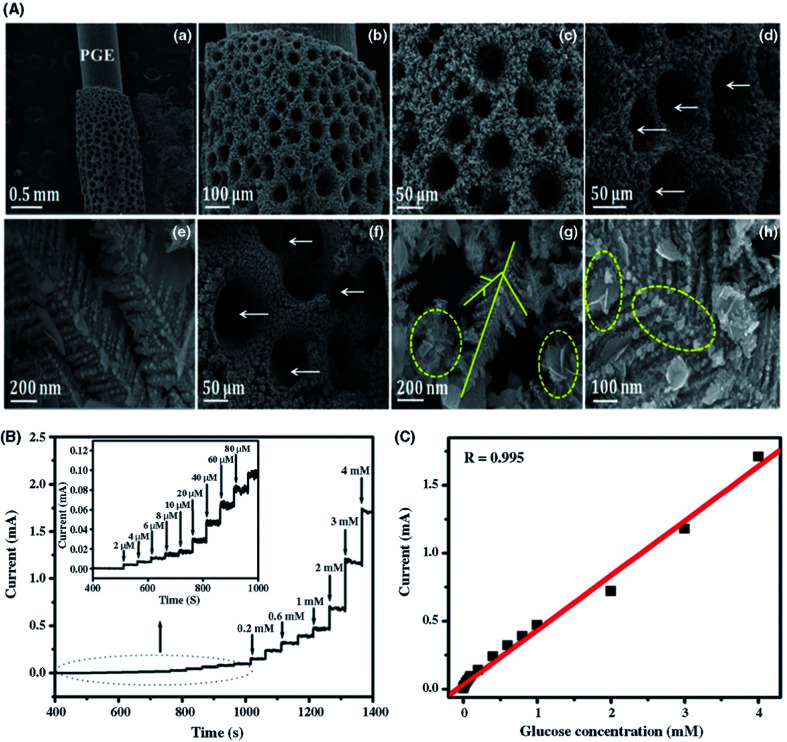 Fig. 11