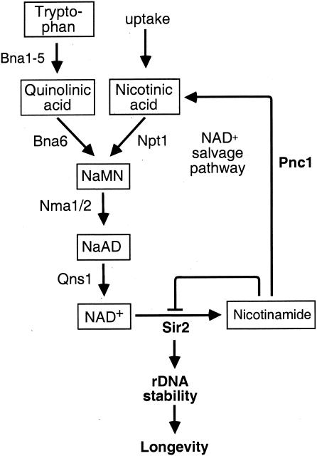 FIG. 5.