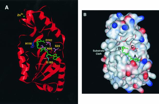 FIG. 4.