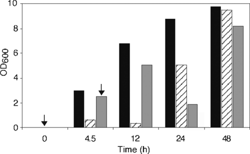 FIG. 1.