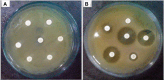 Figure 5