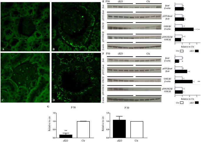 Fig 8