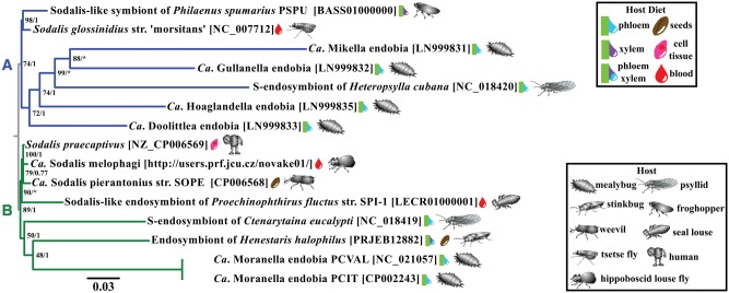 Fig. 3.