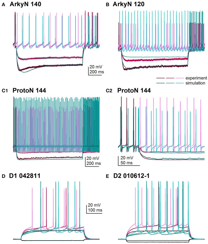 Figure 2