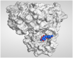 graphic file with name molecules-26-06559-i006.jpg