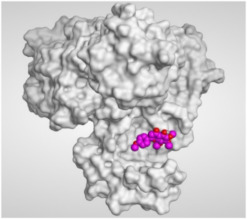 graphic file with name molecules-26-06559-i010.jpg