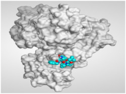 graphic file with name molecules-26-06559-i002.jpg