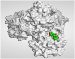 graphic file with name molecules-26-06559-i004.jpg