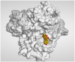 graphic file with name molecules-26-06559-i012.jpg