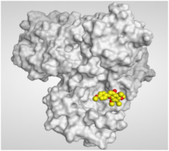 graphic file with name molecules-26-06559-i008.jpg